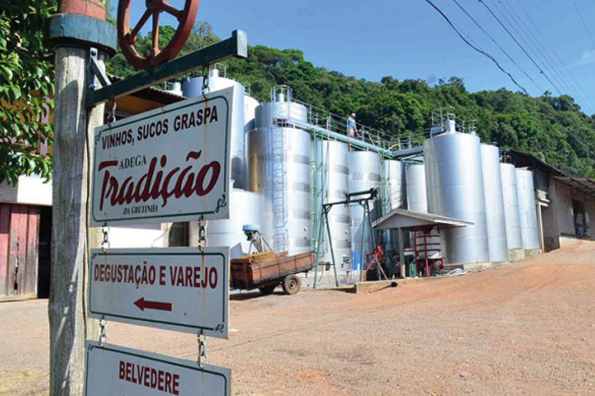 Vinhos Tradição