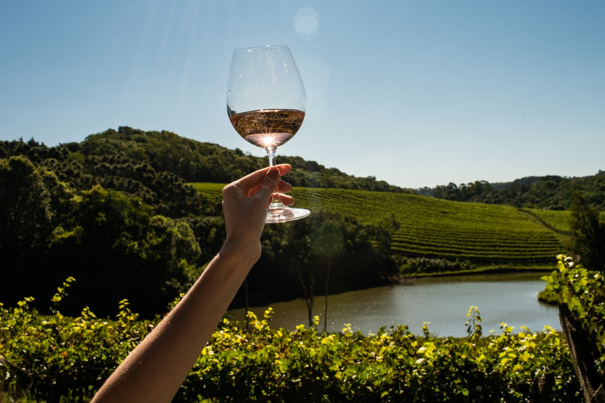 Vinhos Quinta Don Bonifácio