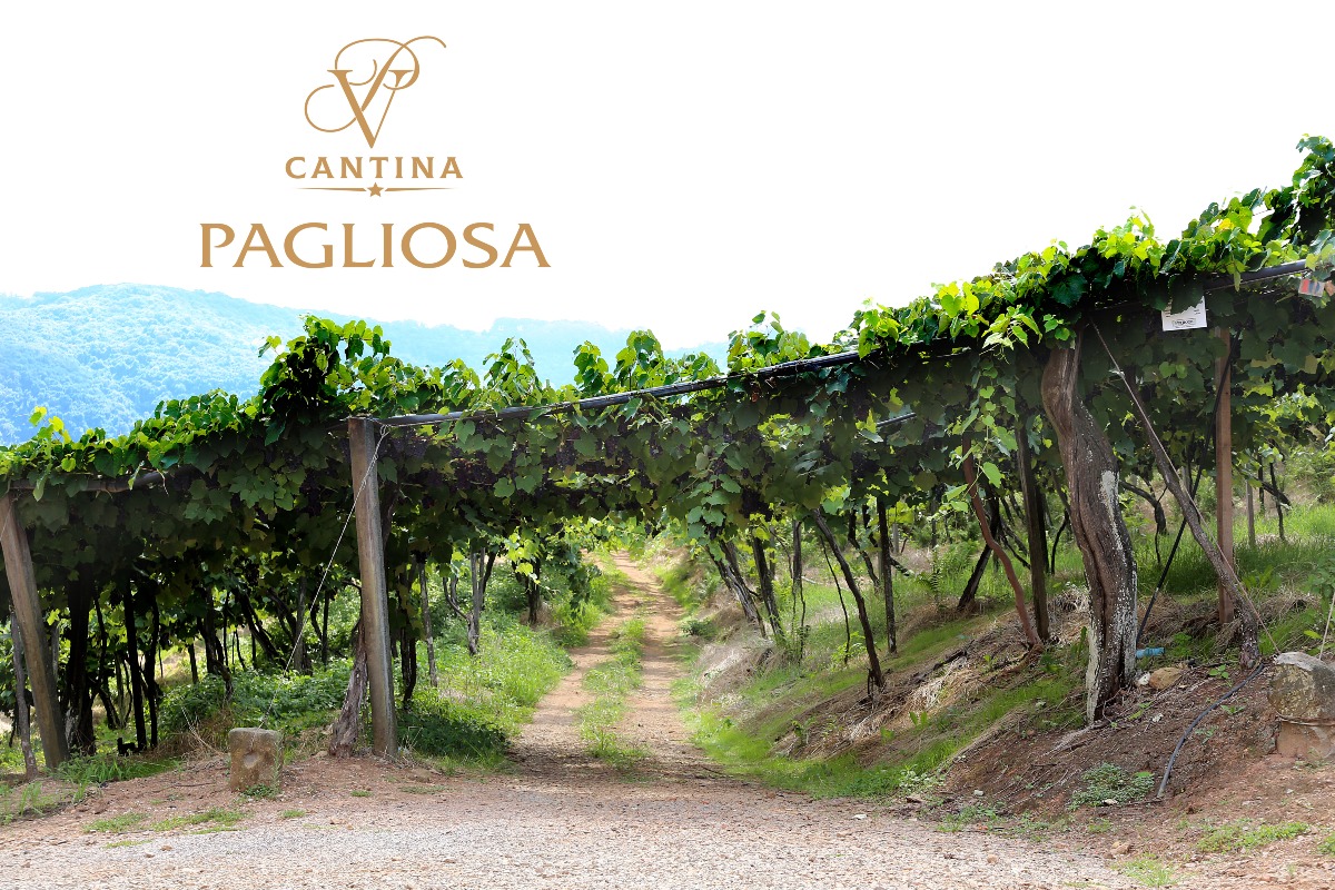 Vinhos Pagliosa